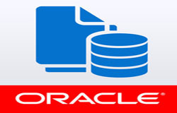 Oracle数据库管理工具有哪些?-北京华体会手机平台公司