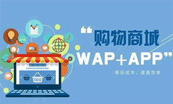 手机商城app华体会手机平台流程-北京华体会手机平台外包公司