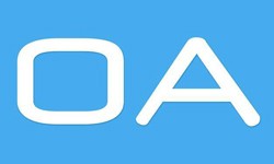 软件外包公司、OA系统开发功能有哪些？费用是多少-华体会手机平台公司[北京华体会手机平台]
