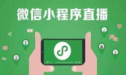 微信小程序开发、直播小程序开发-华体会手机平台华体会手机平台公司 