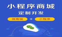 微信小程序开发、商城小程序开发功能-华体会手机平台华体会手机平台