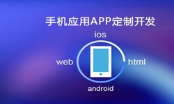 APP开发市场上常见问题分析-北京华体会手机平台公司
